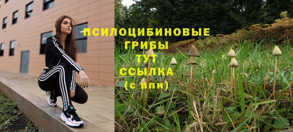 ГАЛЛЮЦИНОГЕННЫЕ ГРИБЫ Покровск