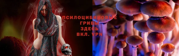 MESCALINE Пересвет