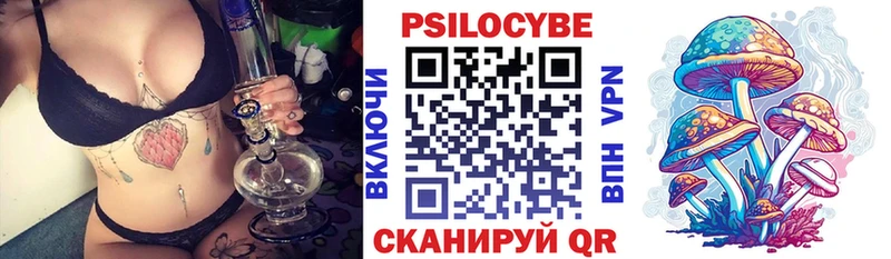 Купить где  Электросталь  Галлюциногенные грибы Cubensis 