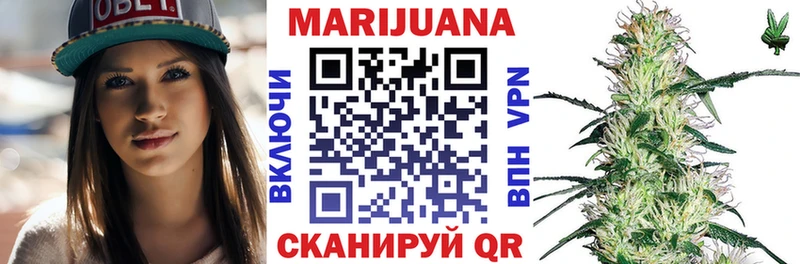 Купить закладки  Электросталь  Бошки марихуана THC 21% 